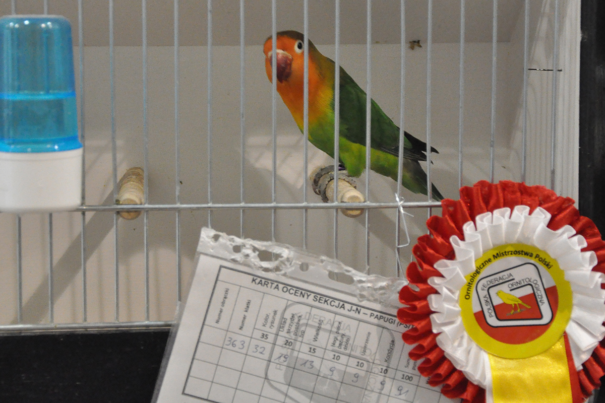 363 gliwice 2022 11 27 101