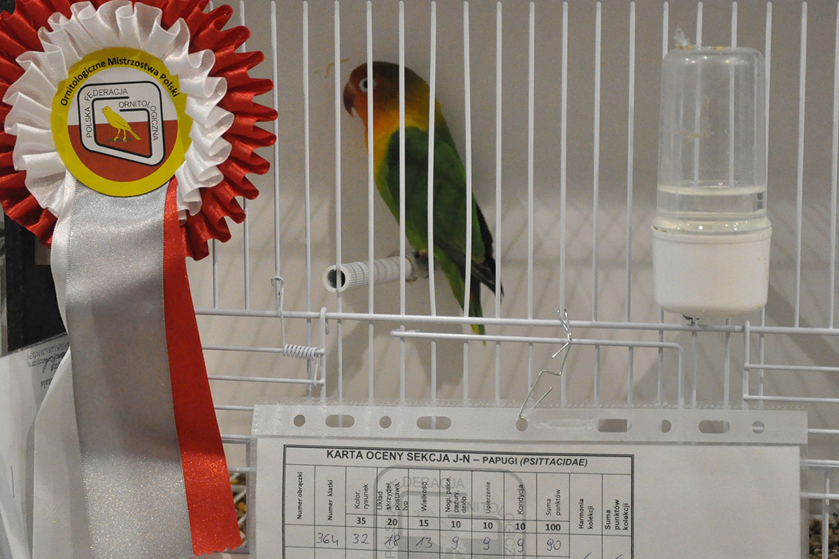 364 gliwice 2022 11 27 82