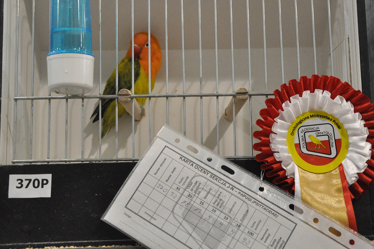 370 gliwice 2022 11 27 107