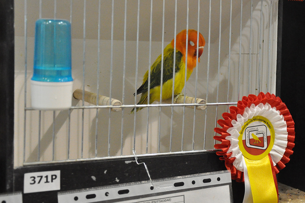 371 gliwice 2022 11 27 105