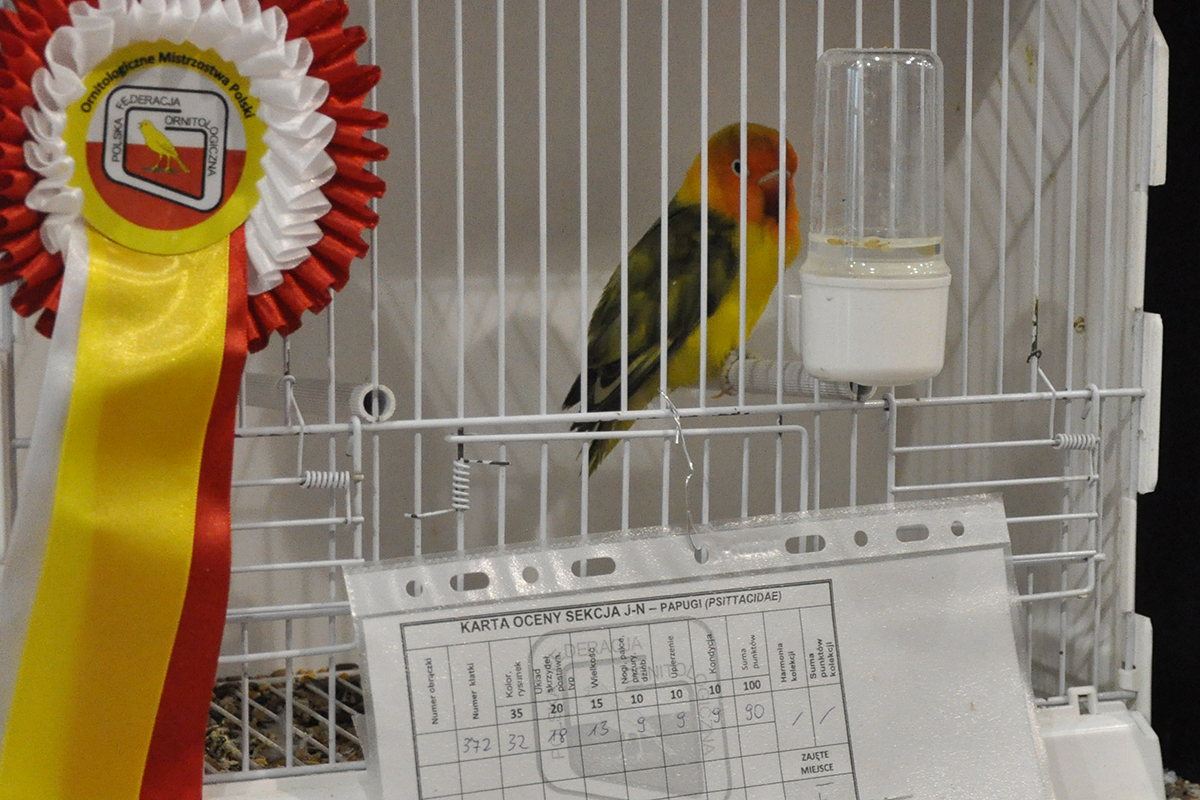 372 gliwice 2022 11 27 102