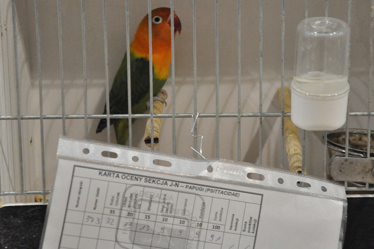 373 gliwice 2022 11 27 84