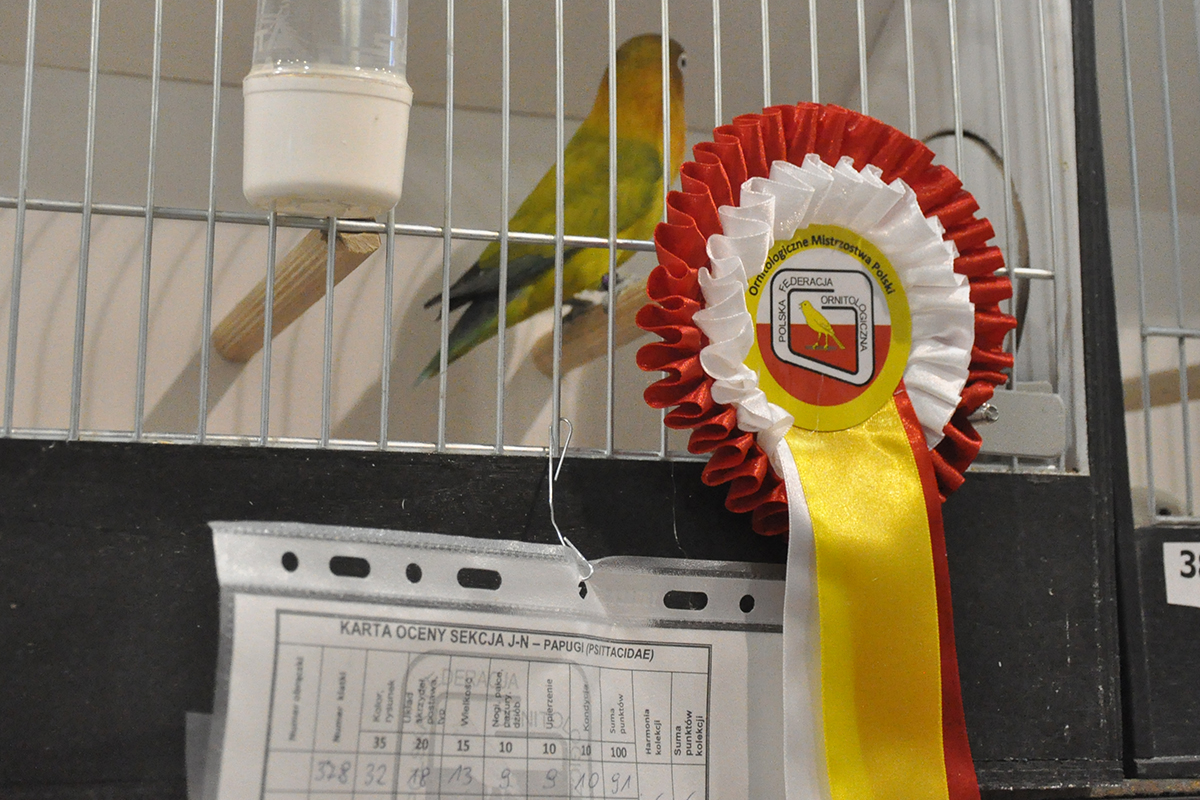 378 gliwice 2022 11 27 66