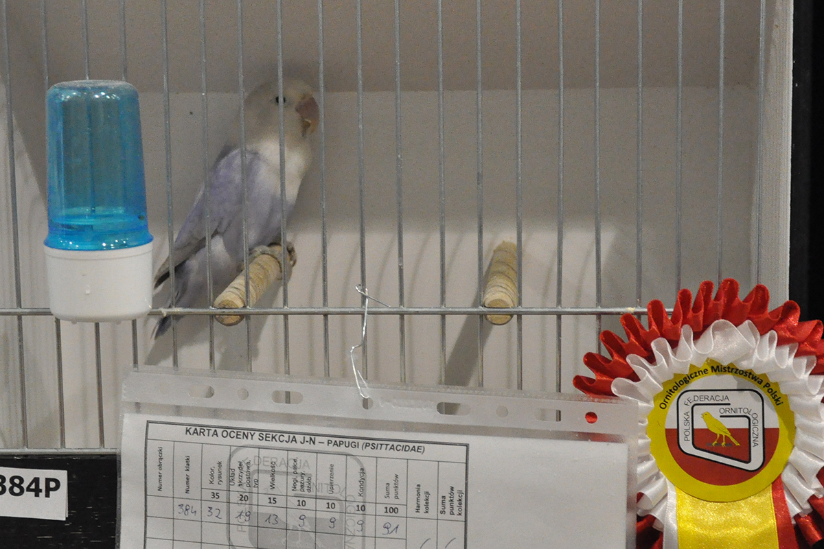 384 gliwice 2022 11 27 78