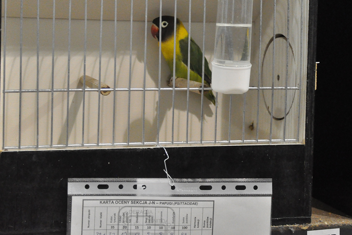 391 gliwice 2022 11 27 74