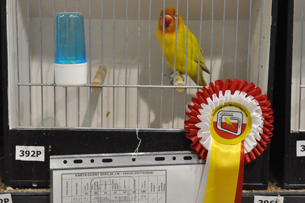 392 gliwice 2022 11 27 77