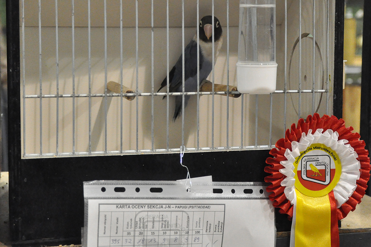 395 gliwice 2022 11 27 75