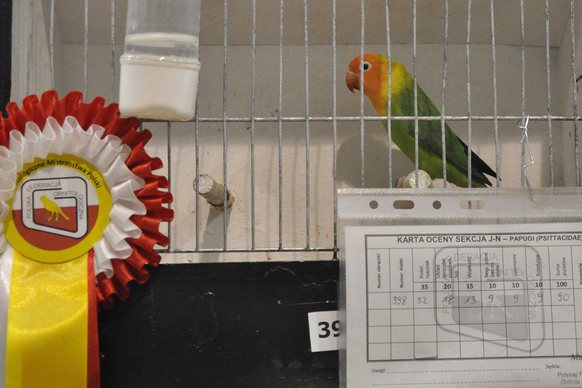 398 gliwice 2022 11 27 88