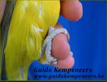 przygotowania do wystawy zdj 1