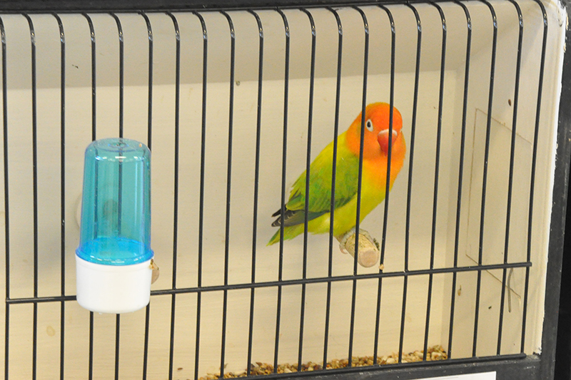 przygotowania do wystawy zdj 5